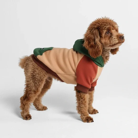 Stylish Dog Hoodie Orange Colorblock Set from SparkPaws